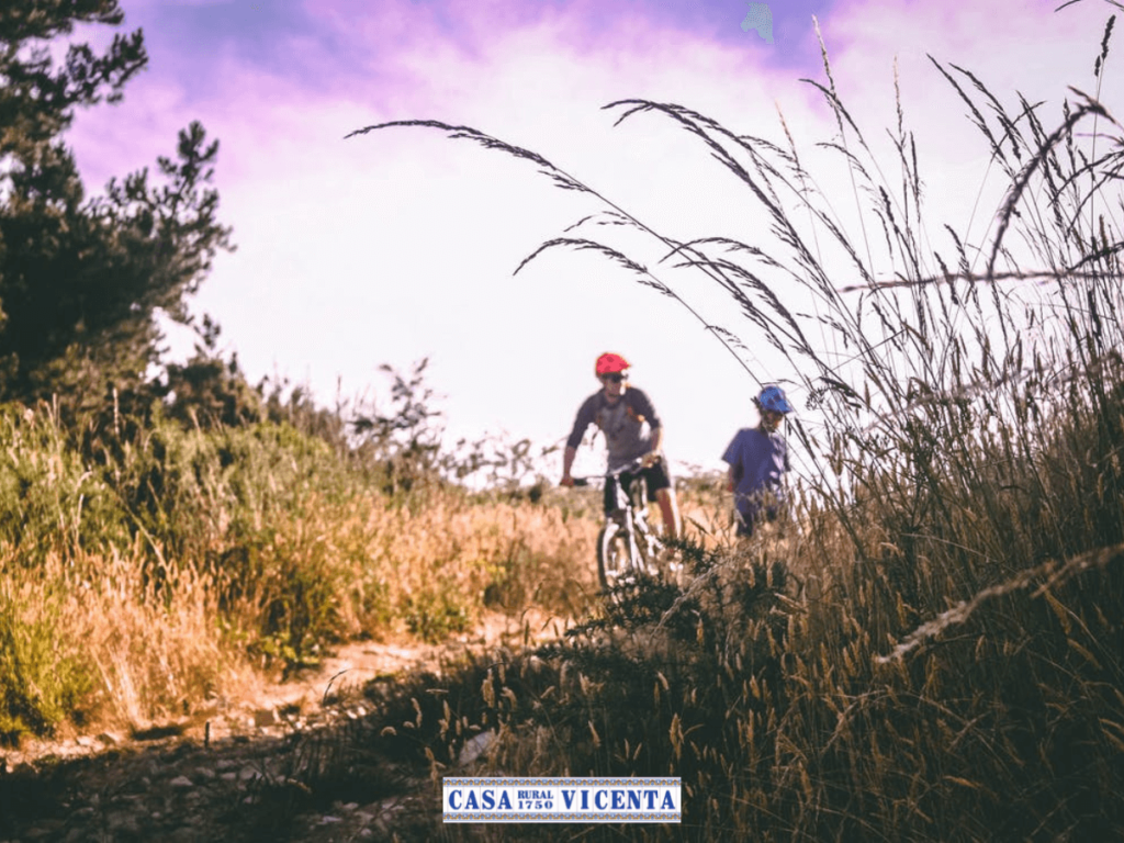 Dos ciclistas en la montaña